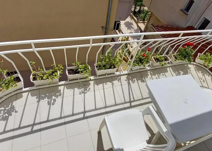 Flora 3*