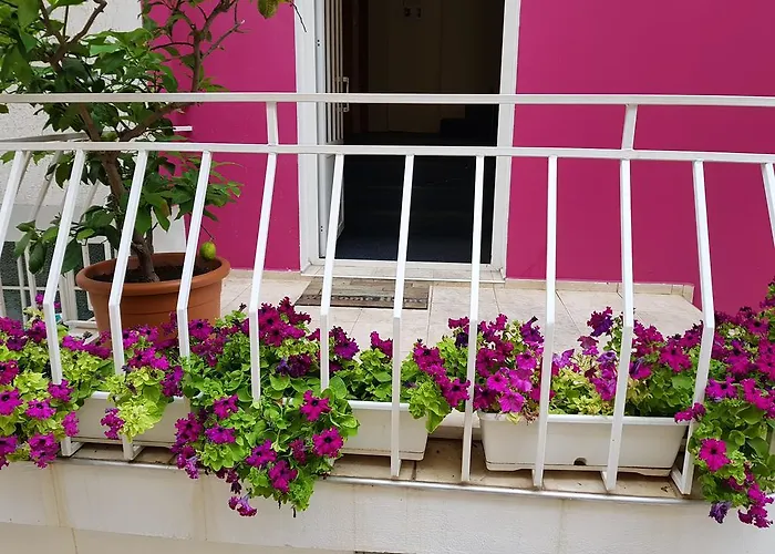 Flora Casa de hóspedes 3*