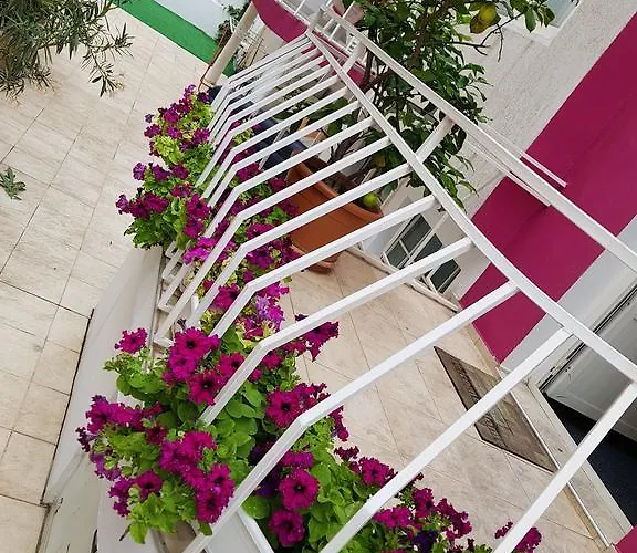 Casa de hóspedes Flora