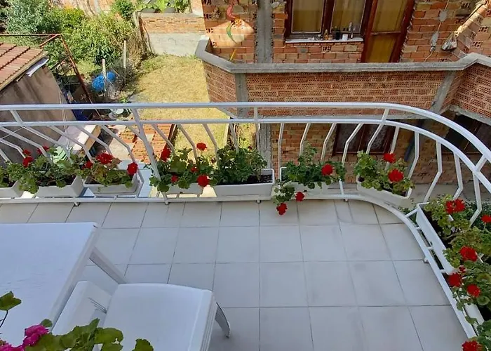 Flora Гостевой дом 3*